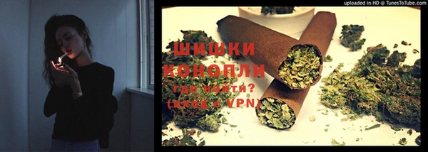 ГАЛЛЮЦИНОГЕННЫЕ ГРИБЫ Кукмор