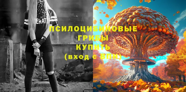 ГАЛЛЮЦИНОГЕННЫЕ ГРИБЫ Кулебаки
