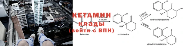 ГАЛЛЮЦИНОГЕННЫЕ ГРИБЫ Кулебаки