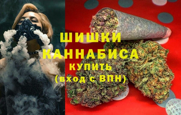 ГАЛЛЮЦИНОГЕННЫЕ ГРИБЫ Кукмор