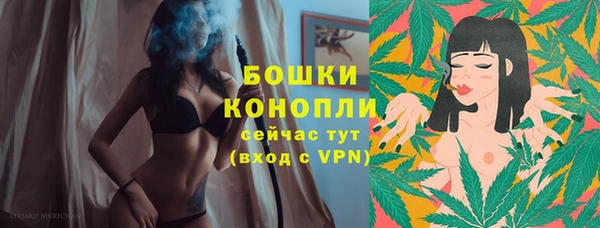 ГАЛЛЮЦИНОГЕННЫЕ ГРИБЫ Кукмор